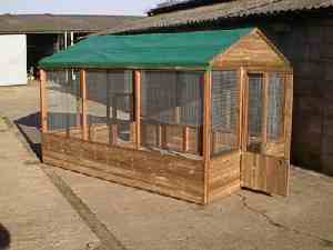 avian flu protected run for chickens