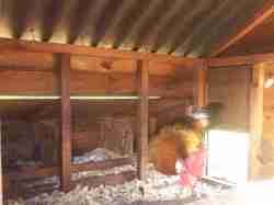 inside the grosvenor major