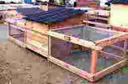 hintsford major broody coop 